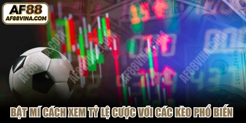 Bật mí cách xem tỷ lệ cược với các kèo phổ biến hiện nay