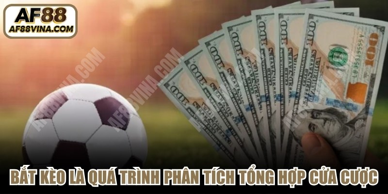 Bắt kèo là quá trình phân tích tổng hợp và lựa chọn cửa cược