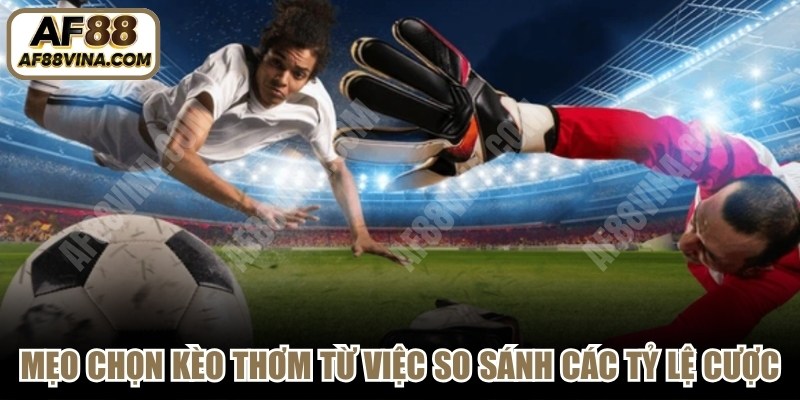 Mẹo chọn kèo thơm từ việc so sánh các tỷ lệ cược